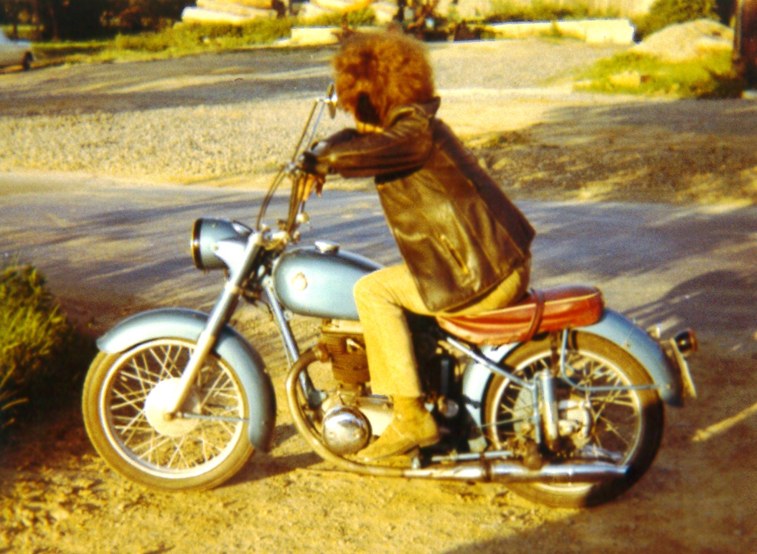 Erste Geliebte, meine HOREX Regina ...