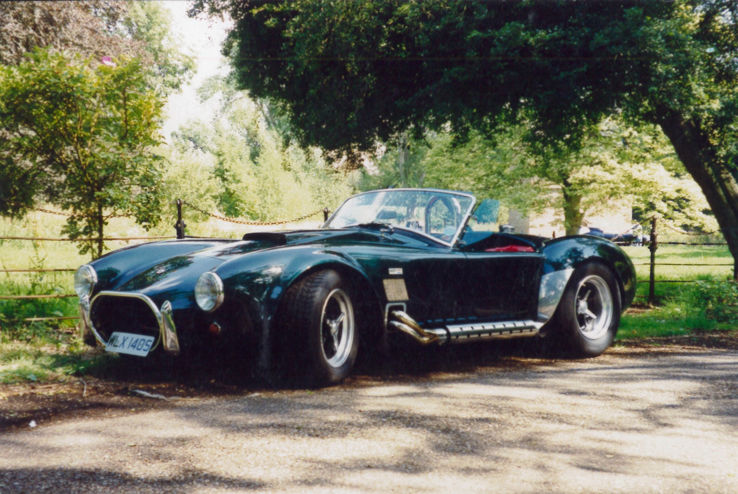 DWR COBRA ....snakes alive