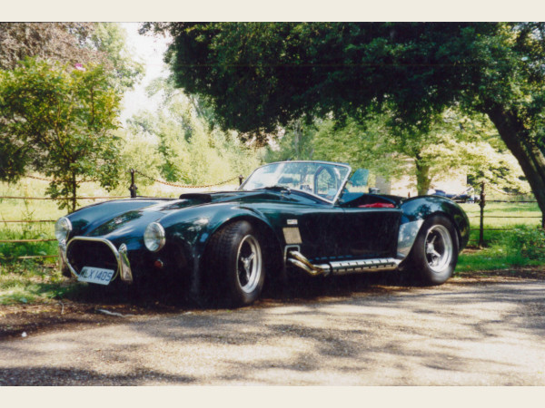 DWR COBRA ....snakes alive